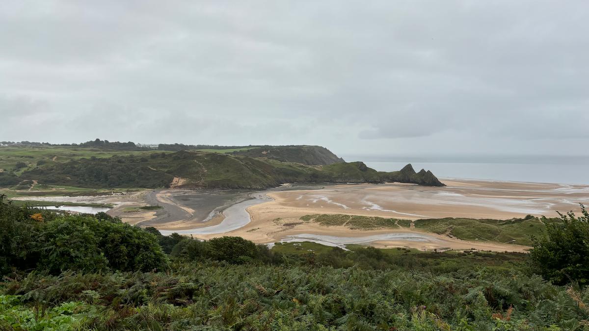 AIIH conference in Swansea, Wales